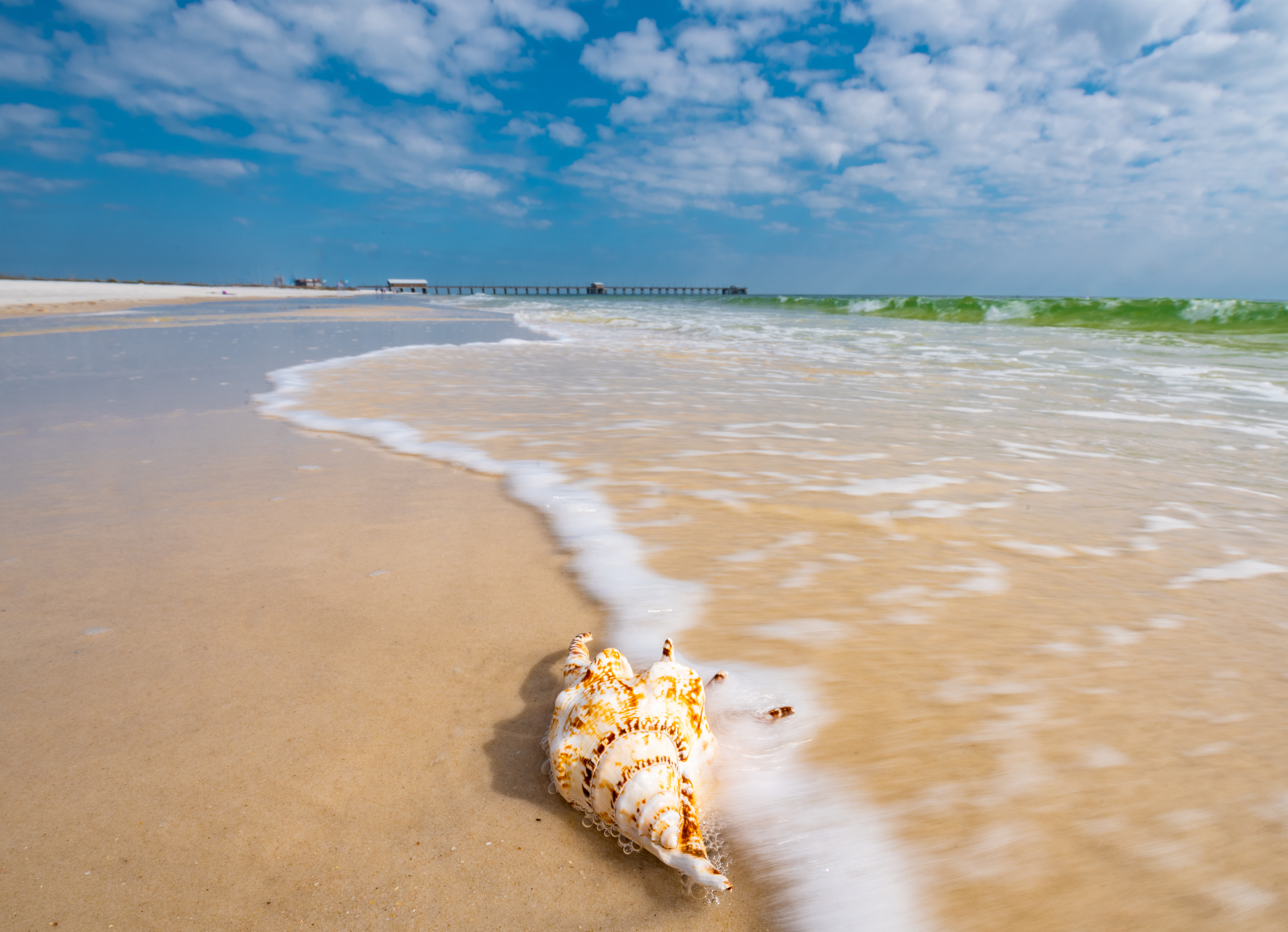 orange beach gulf shores alabama